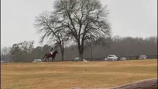 Hank Pine Top Cross Country 2022 - Training Level