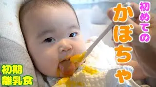 初めてのかぼちゃ！離乳食初期【生後六ヶ月赤ちゃん】Baby eating pumpkin for the first time
