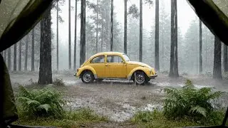 Midnight Drive in Drizzle: Soothing Hum of Yellow VW, Hypnotic Rain