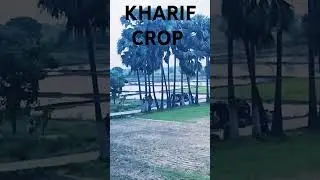 Dekho or sikho :-Episode-1/1000.  Kharif crops.#season ,#monsoon , #geography .
