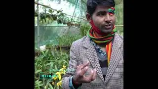 Orchids in Assam - iLoveNorthEastIndia