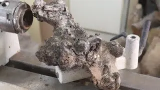 Wood Turning a Shrubbery into a Vase