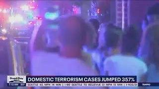 Domestic terrorism cases jump 357% from 2013-2019 in the United States | FOX 13 Seattle