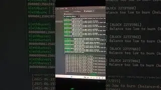 Eth burner bot #coding #cryptocurrency #programming #ethereumdevelopment #blockchain