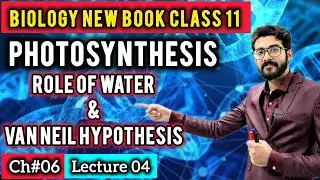 Photosynthesis: Role of Water & Van Niel Hypothesis | Class 11 Biology New Book