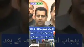 PML-N MPA Hassan Riaz talking to the media after the incident in the Punjab Assembly #shorts #news