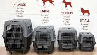 ✈️ Flying with a Giant Pup? This Airline Dog Crate Makes Travel Easy!