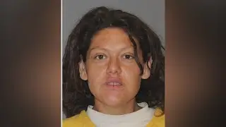 Suspect in Riverside Parkway fire appears in court