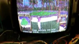 Golden tee 97 messed up graphics