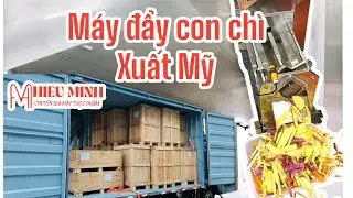 M&Aacute;Y TH&Aacute;I RAU CỦ SV90 - M&Aacute;Y ĐẨY CON CH&Igrave; XUẤT MỸ CHẤT LƯỢNG