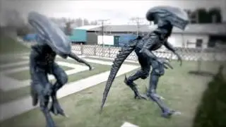 Halloween and Vines by Mike 'n' Mike Movie Madness