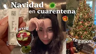 🇺🇸 Navidad en CUARENTENA en ESTADOS UNIDOS 🎄