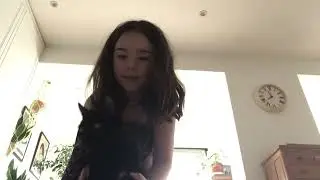 My cat did set sail 