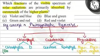 Which fractions of the visible spectrum of solar radiations are pri...