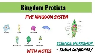 Kingdom Protista : Five Kingdom System of classification||। Diversity of Life|| Science Workshop