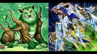 DevPro Duels | TeleTune's Potential