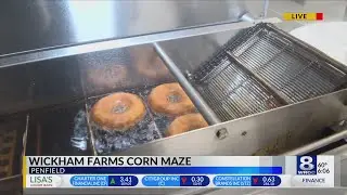 Wickham Farm commemorates Rotary camp with new corn maze theme