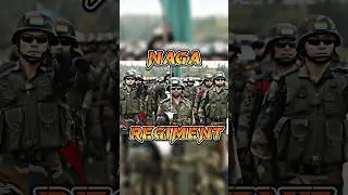 ⚔️Country Regiment⚔️ Глава 🥷🏼Охотник| Джай 🙏🏼Дурга 🚩Нага| #шорты #корм_шортами #с_любовью1