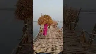 koshi area ka international breeze