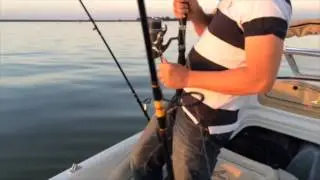 Fishing in Antioch, CA, sturgeon.