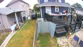 Wild Hawk Grabs Bird Right Off Backyard Deck