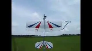 WrongWayRc 20cc LamBach at the 3D Farm-P Hucked