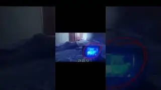 The Sleep Paralysis Experiment
