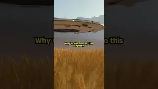 Crop Circles EXPLAINED! - Aliens & UFOs vs. Reality!