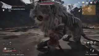 Game of thrones kingsroad | жырткыч айбандар 6 shadowcat | Gameplay Кыргызча