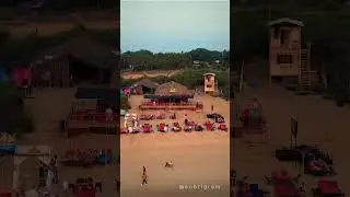 bob Marley beach shack candolim goa