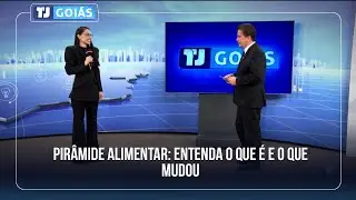PIR&Acirc;MIDE ALIMENTAR: ENTENDA O QUE &Eacute; E O QUE MUDOU
