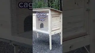Rabbit cages are big and strong 💪