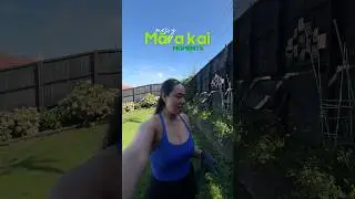 Māra kai (food garden) on ways bc the cost of fresh produce in NZ&hellip;outrageous
