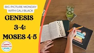 BIG PICTURE MONDAY: Genesis 3-4, Moses 4-5: Come Follow Me Jan 19-25