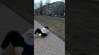 Кинем палку вместе? #shorts #палка