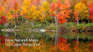 Natures Magic