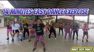 14 MINUTES EASY DANCE Exercise for everyone / dance fitness workout 