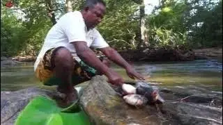 A delicious Sri Lankan coral fish curry.