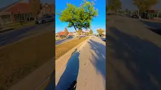 Riding around Park Ridge on the Harley and Triumph #fyp #fallvibes #motorcycle #harleydavidson