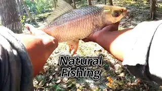 Best Fishing Rod Test 2025 | Natural Fishing 2025 | Viral Deep Sea Catch #fishinglover