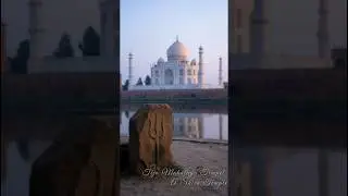 Taj Mahal | The Real Story | Tejo Mahalaya #history #success #india #shorts #mystery #love #trending