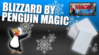 Blizzard by Dean Dill | Blank Deck Blizzard