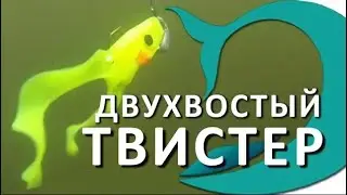 Силиконовая приманка двухвостый ШЕД ТВИСТЕР. Рыбалка с Deki Orka