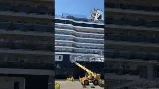 ❤️Holland America Cruise Lines- Westerdam Ship #travel #cruise #hollandamerica