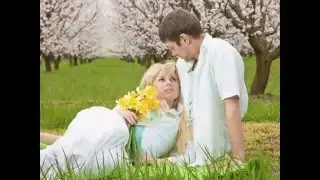 цветущие сакуры.avi
