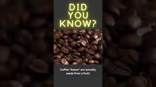 Coffee Facts | Did you Know? #shorts