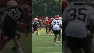 Dillon Gabriel connects on the sideline with Diontae Johnson🔥