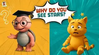 Why Do We See Stars When We Bump Our Heads? | Kids Learning Videos | Fun Learning | ProfessorTurtloo