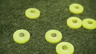 ZIPCHIP  ou ZIP CHIP Nova Febre Mundial