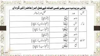Arabic Grammer| Verb  | Lecture # 67     فعل امر کی گردان